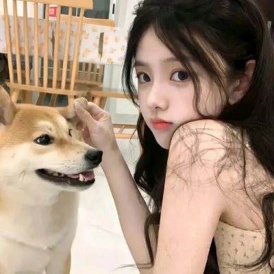 环战公主
